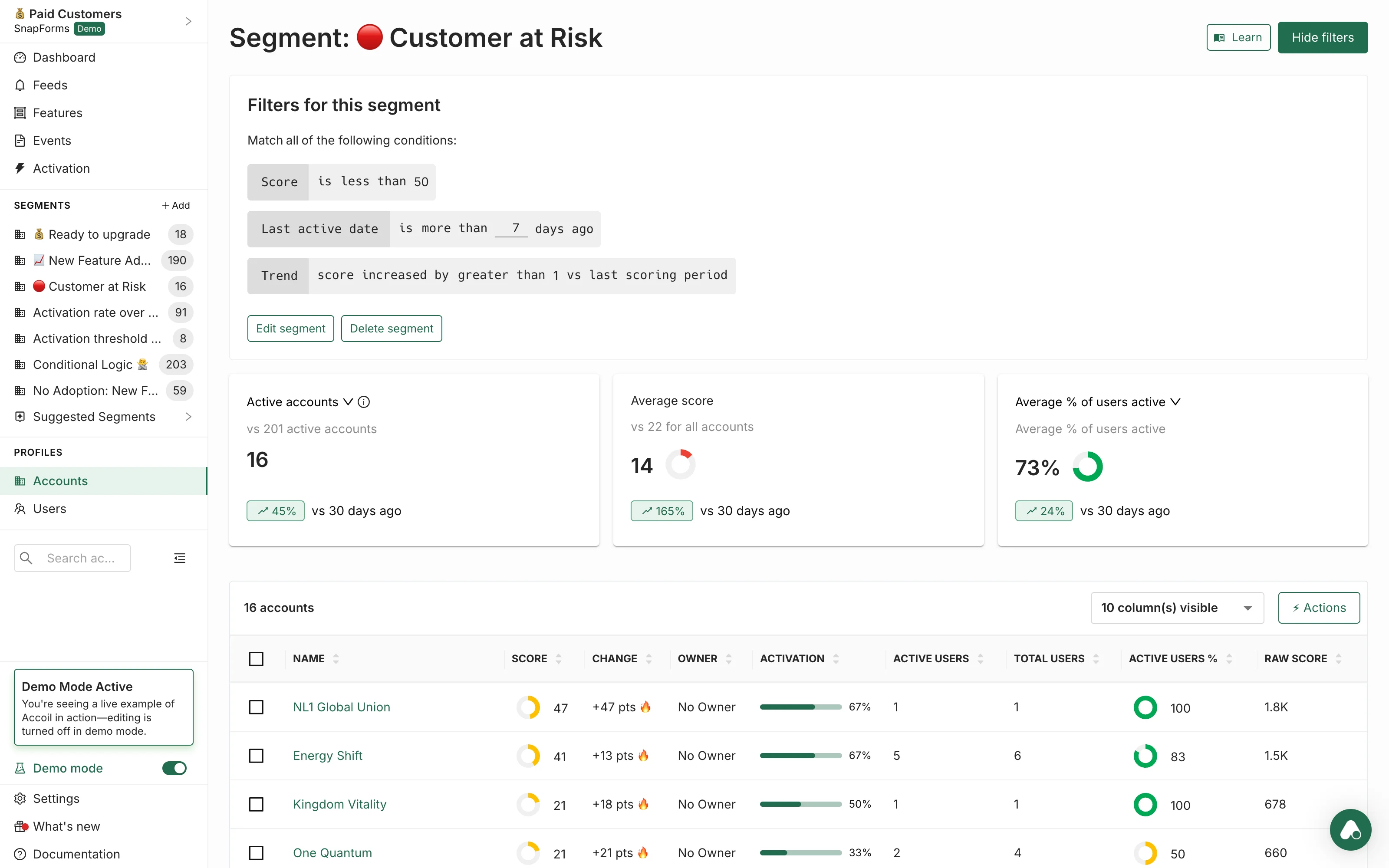 Customer at Risk segment view showing at-risk accounts